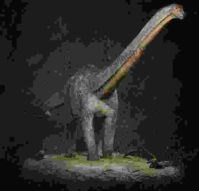 A 3D Scan Of The Diplodocus Carnegii Skeleton Bone Wars: The Excavation And Celebrity Of Andrew Carnegie S Dinosaur