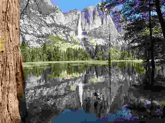 A Photo Of El Capitan In Yosemite National Park. USA National Parks: Lands Of Wonder
