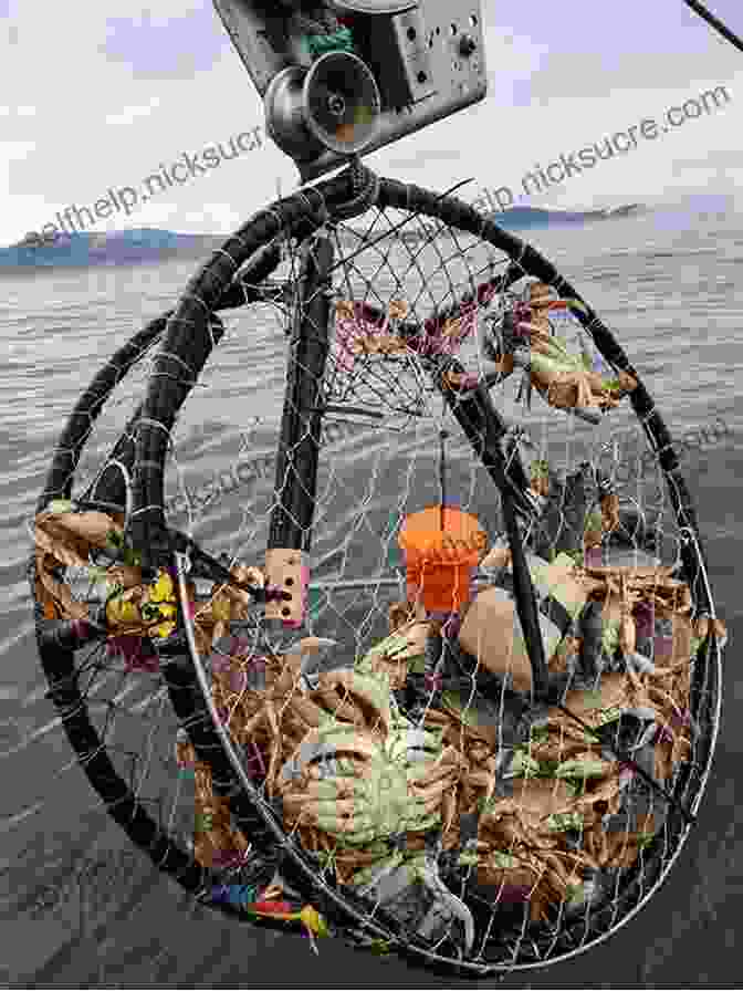 A Photograph Of A Crab Fishing Boat, With A Crew Member Throwing A Crab Pot Overboard. The Boat Is Shown In The Bering Sea, Off The Coast Of Alaska. Nights Of Ice: True Stories Of Disaster And Survival On Alaska S High Seas