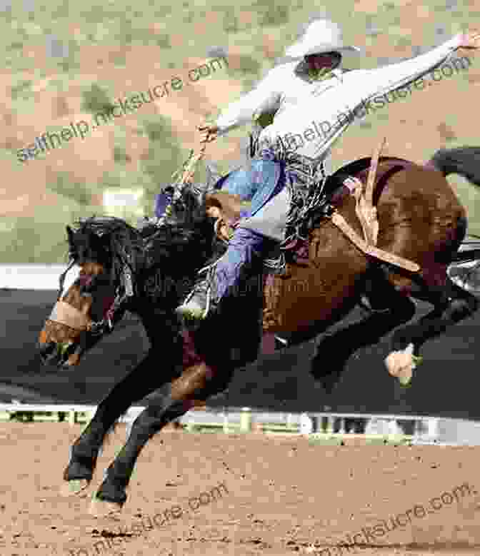 A Rodeo Rider Clinging Onto A Bucking Bronc Rodeo Austin: Blue Ribbons Buckin Broncs And Big Dreams