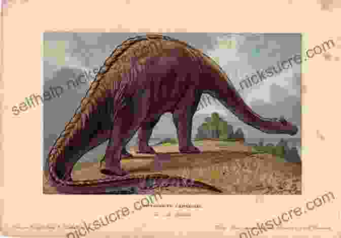 A Vintage Postcard Featuring Diplodocus Carnegii Bone Wars: The Excavation And Celebrity Of Andrew Carnegie S Dinosaur
