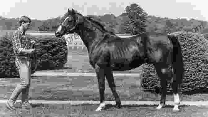 Northern Dancer, The Influential Sire Of Triple Crown Winners Kentucky S Famous Racehorses (Images Of America)
