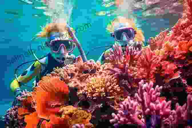 Snorkelers Exploring The Vibrant Coral Reefs Of Hogsty Reef, Surrounded By Schools Of Colorful Fish. The Island Hopping Digital Guide To The Southern Bahamas Part IV Mayaguana To Inagua: Including Mayaguana Great Inagua Little Inagua And The Hogsty Reef