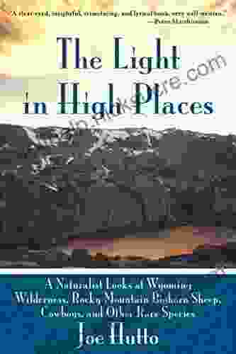 The Light In High Places: A Naturalist Looks At Wyoming Wilderness Rocky Mountain Bighorn Sheep Cowboys And Other Rare Species