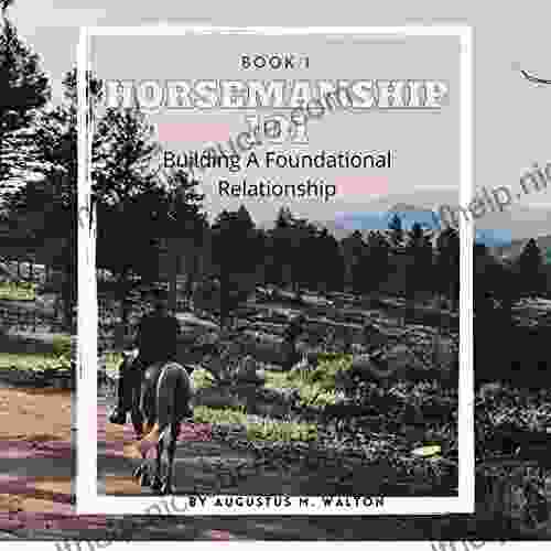 Horsemanship 101: Building The Foundational Relationship (Horsemanship 101: Beginner 1)