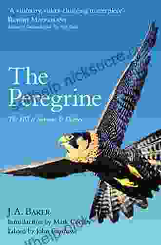 The Peregrine: The Hill Of Summer Diaries: The Complete Works Of J A Baker